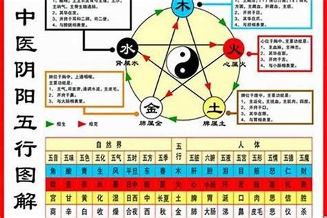 1984生肖五行|1984年属鼠是什么命，84年出生五行属什么